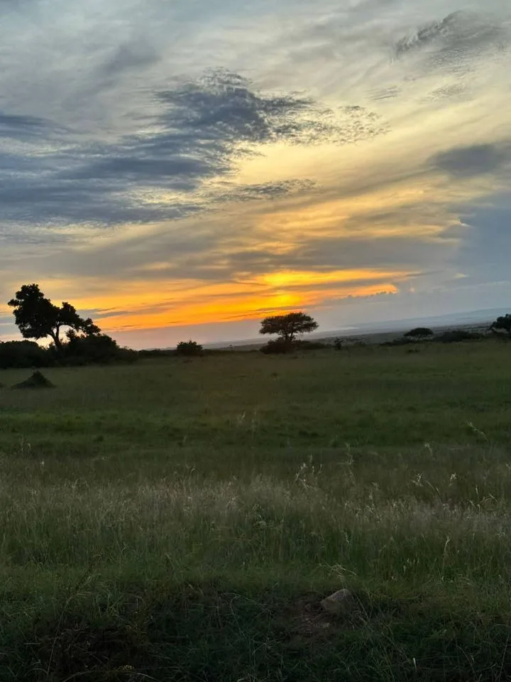 7 Days Samburu, Lake Nakuru & Maasai Mara Cultural Safari