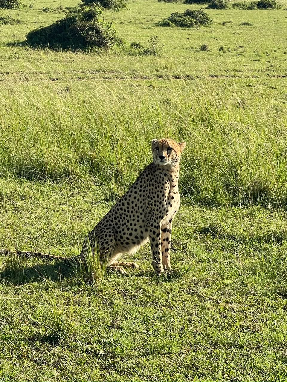 12 Days Kenya Safari and Beach Tour 2026/2027