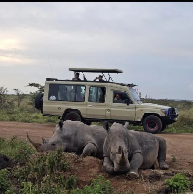 Private 4x4 safari Land Cruiser on a game drive in northern Tanzania