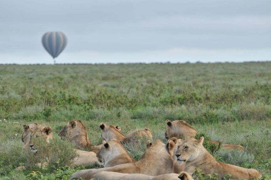 12 Days Kenya Safari and Beach Tour 2026/2027