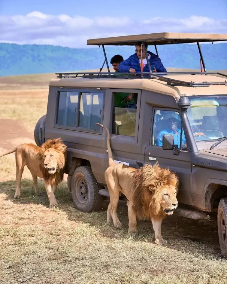 5 Days Kenya Family Safari Tour Mid-Range