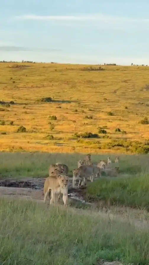 4 DAY LUXURY MARA TOUR