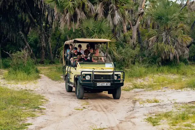10 Days Luxury Kenya Vacation in Maasai Mara with safari vehicle and wildlife