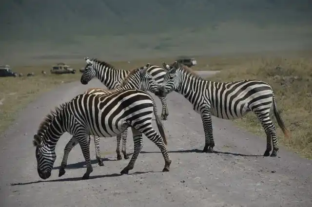 6 Days Kenya Ultra Luxury Safari