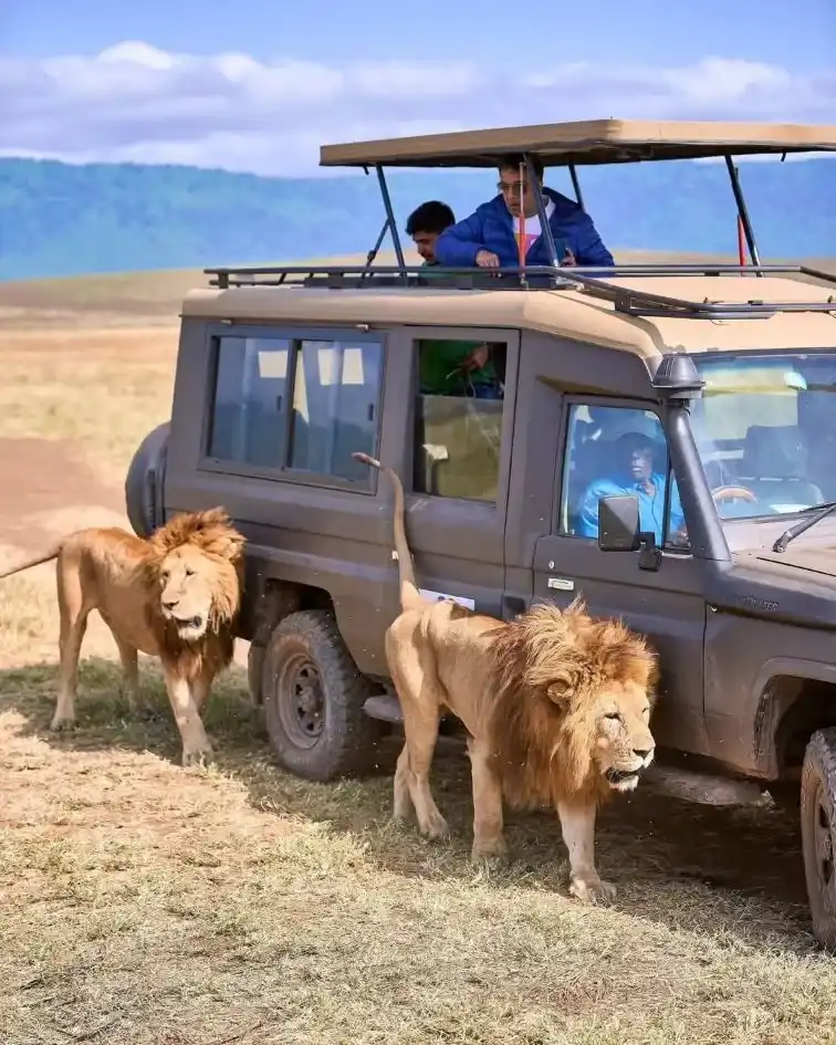 7 Days Kenya Big five Tour