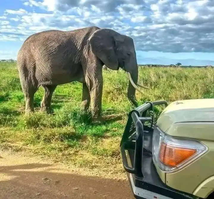 Amboseli National Park