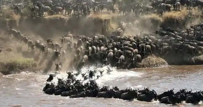 8 Days Kenya Honeymoon Safari