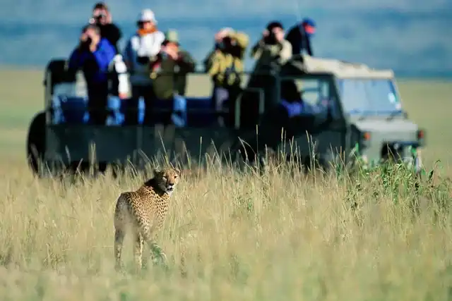 Luxury Masai Mara fly-in safari with wildlife on the open savannah