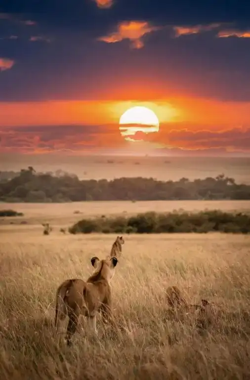 5-day Tanzania group safari in Serengeti National Park