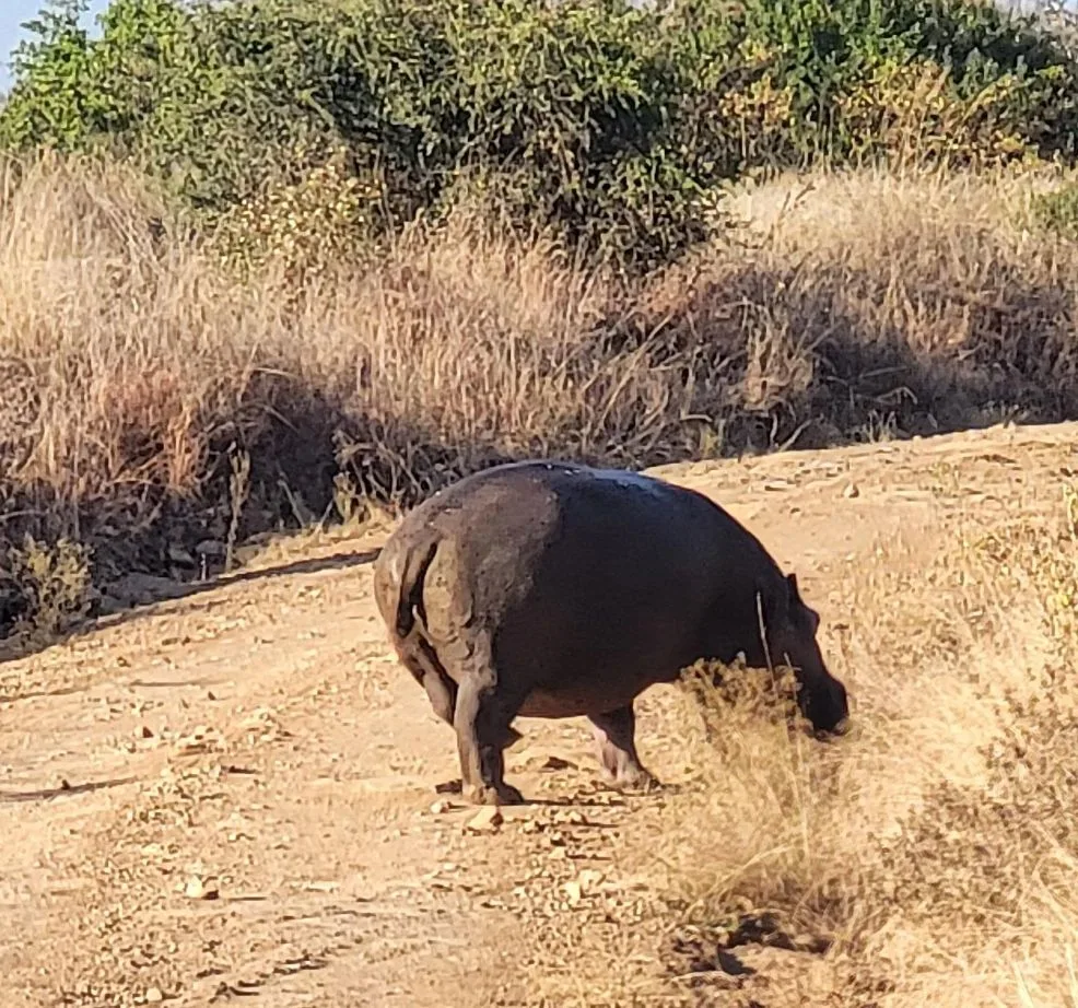 2 Days Tarangire & Lake Manyara Safari