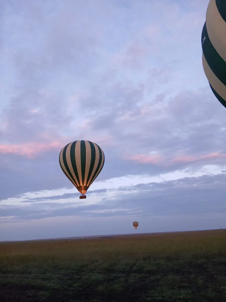3 Day Serengeti Group Tour from Arusha in Tanzania
