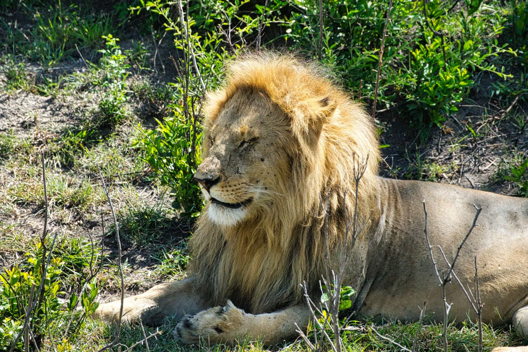10 Days Kenya Adventure Safari