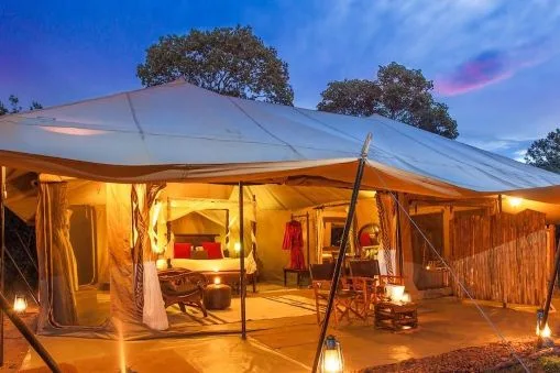Serengeti wildlife on a 12-day Tanzania safari and Zanzibar beach holiday