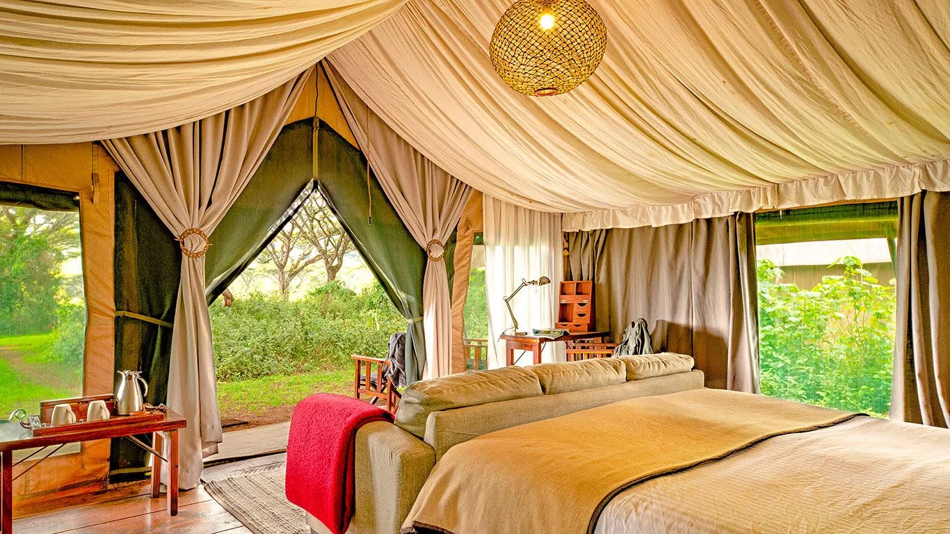 maasai-mara-seasonal-migration-safaris-20260602-215903-a0b275.webp