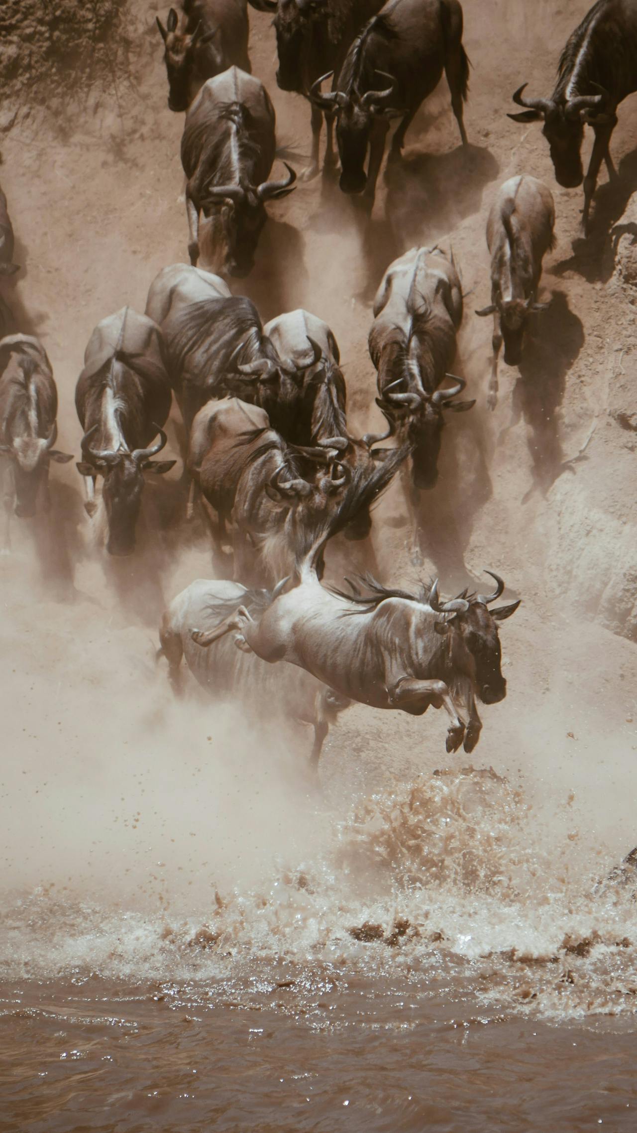 4 DAY LUXURY MARA TOUR