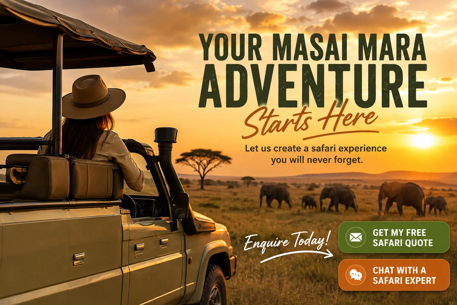talk-to-the-safari-expert-20260804-135511-67026b.webp