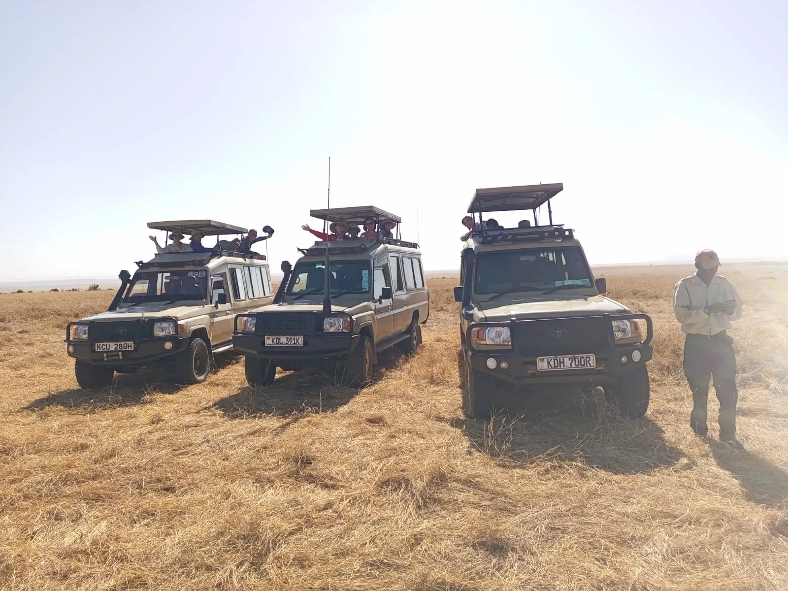 top-10-budget-kenya-big-five-safari-tours-20260725-152026-d90434.webp