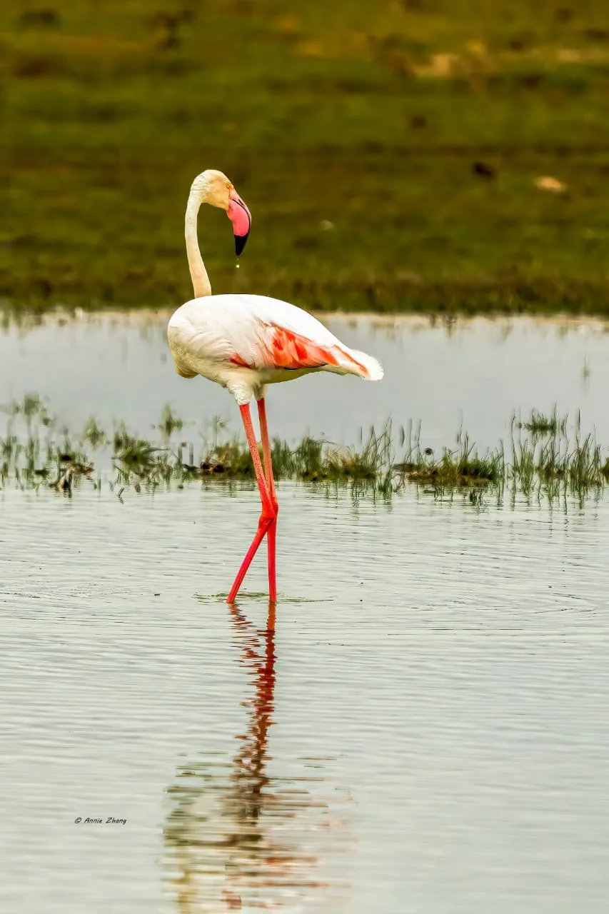 5-days-kenya-wildlife-beach-tour