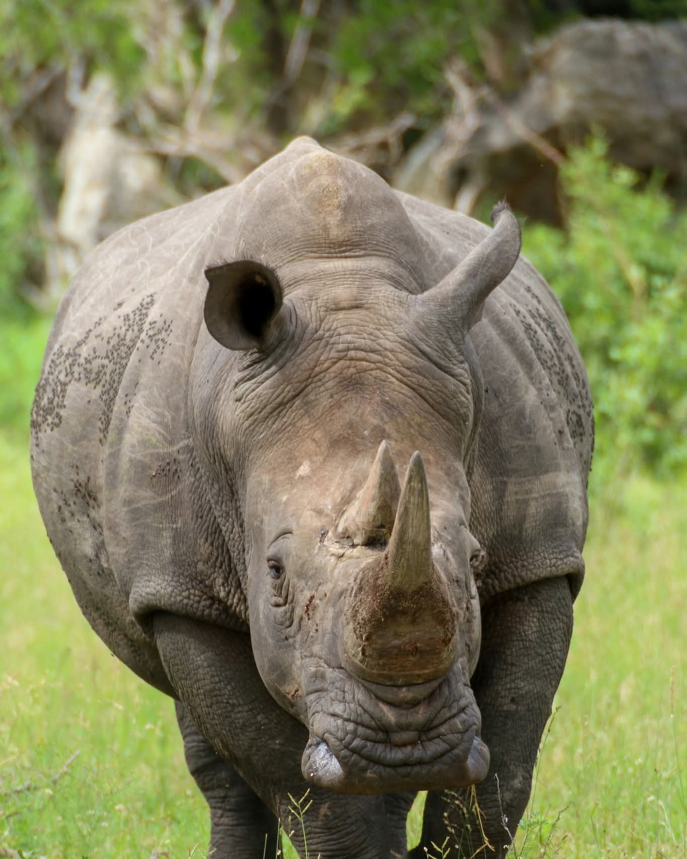 9 Days Group Diani Beach Safari