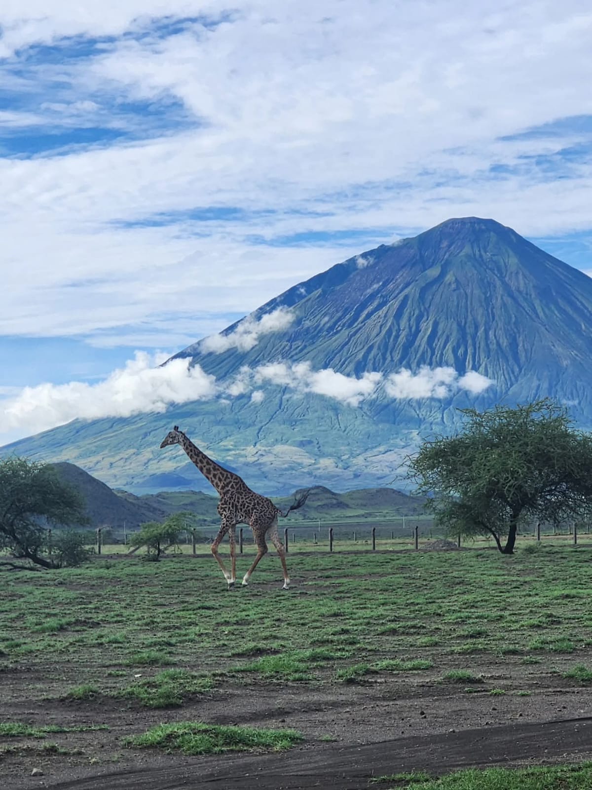 3 Days Amboseli Fly In Safari with elephants and Mount Kilimanjaro in Kenya