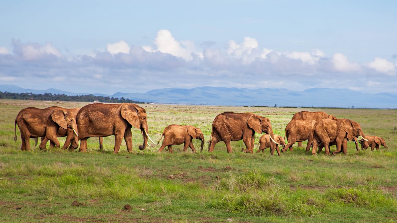 2 day Tsavo East safari